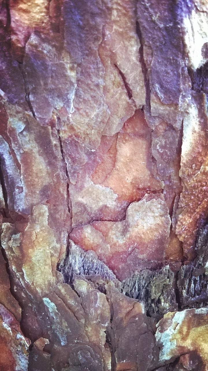 texture