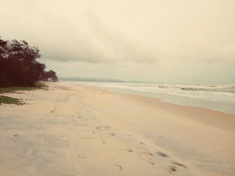Perfect Holiday