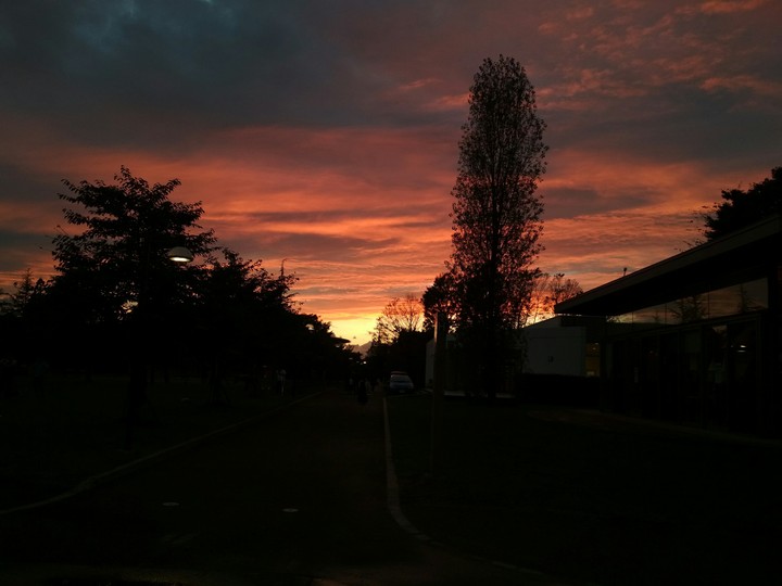Evening Sky