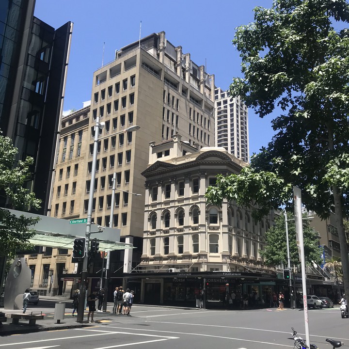 Auckland city