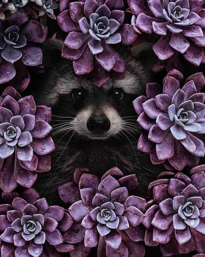 ?