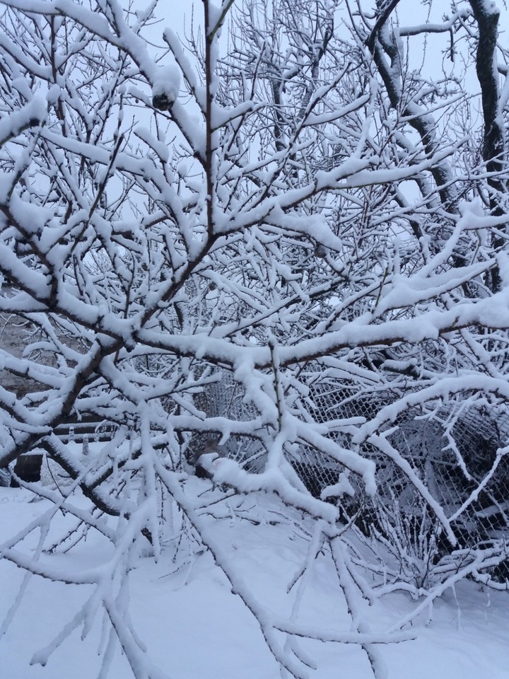 Snow