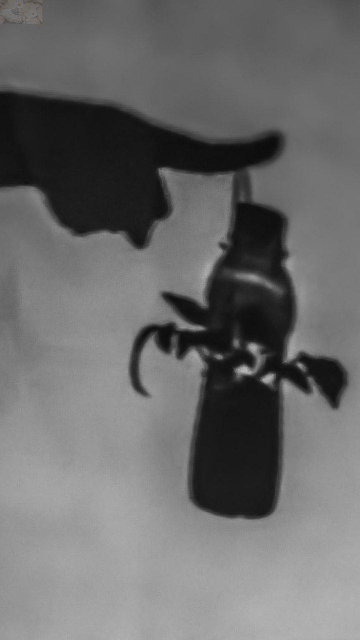 shm