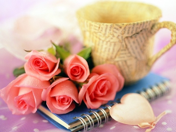 pink Rose