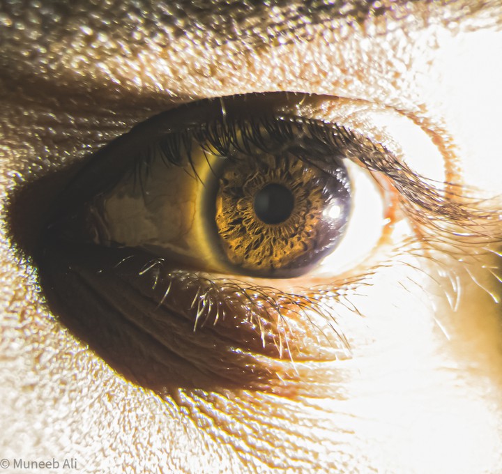 EYE