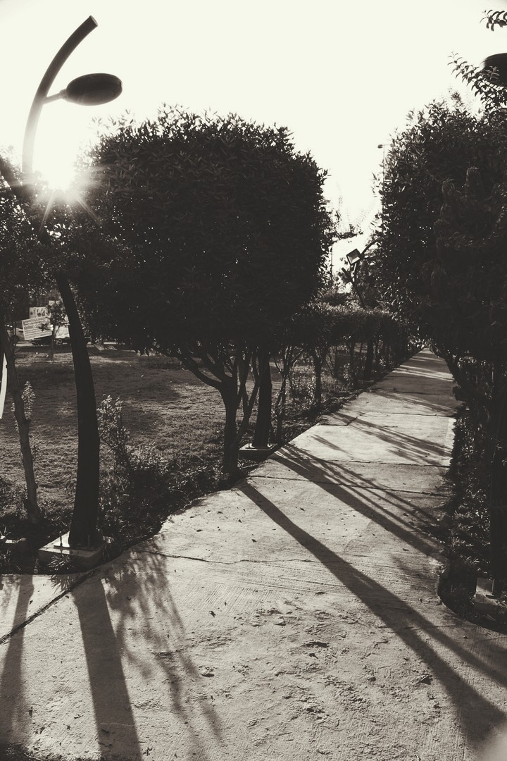black road
