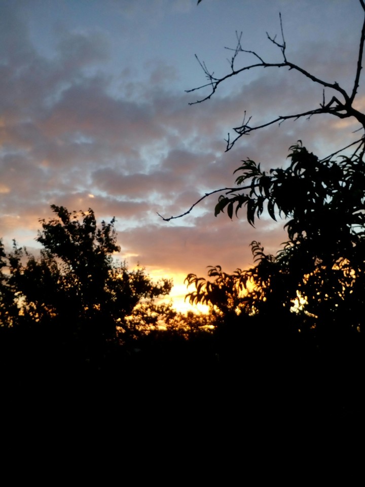 sky
