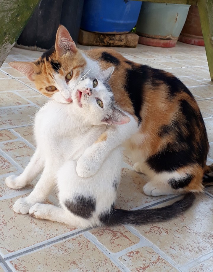 mom and son