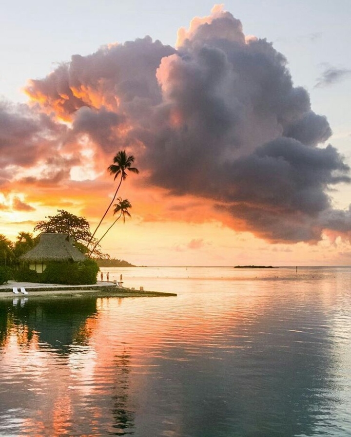 nature