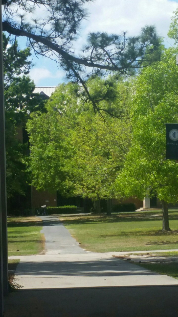 TCC