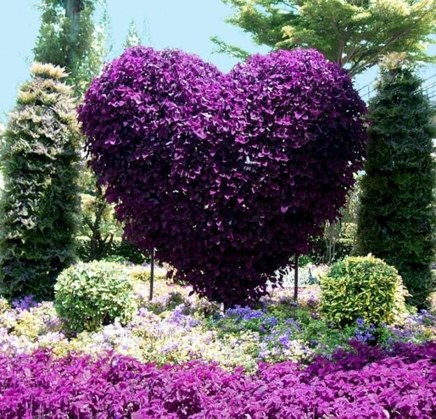 ❤