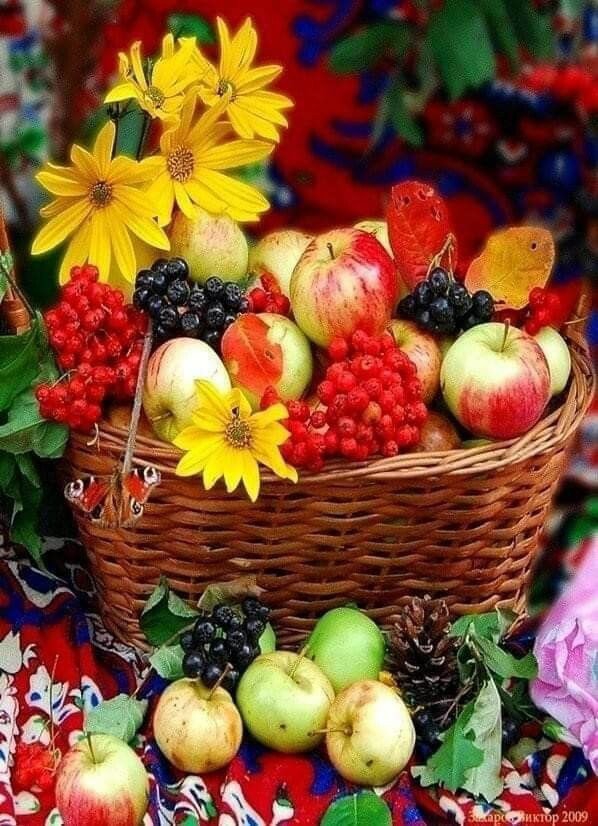 gifts of nature