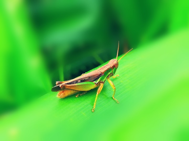 NFT Photography