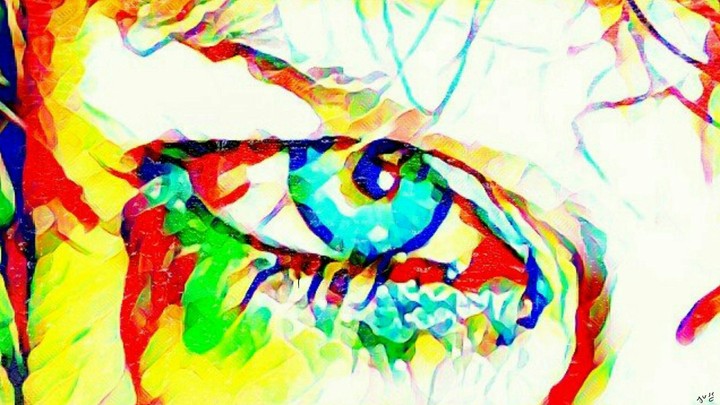 eye