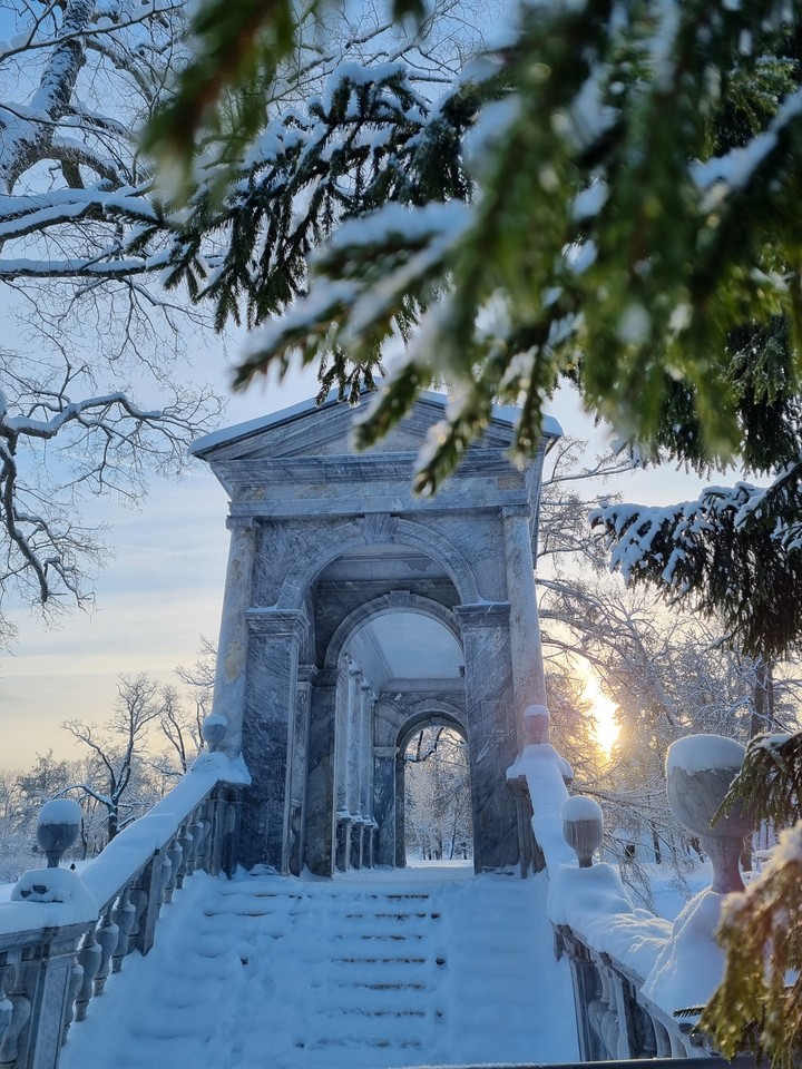 Winter