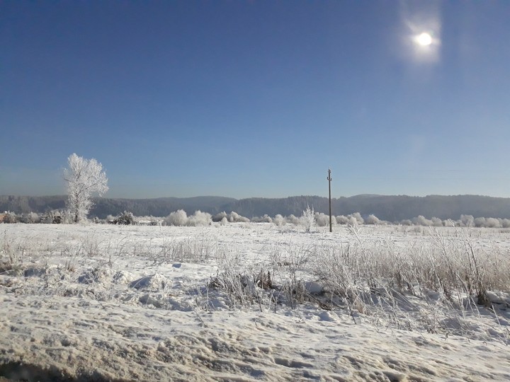 Winter
