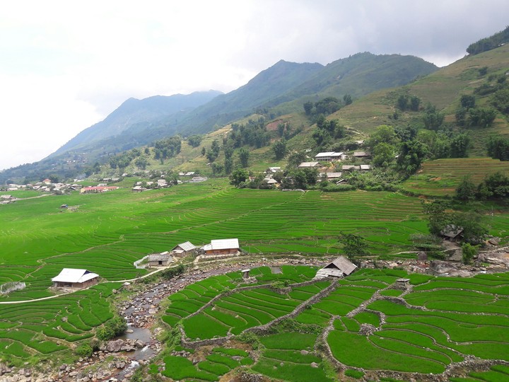green and pure Sapa, Vietnam