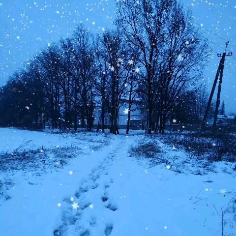 snow