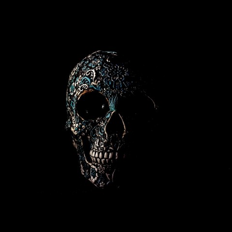 Skull