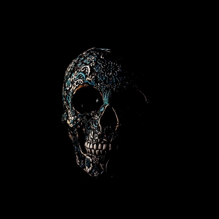 Skull