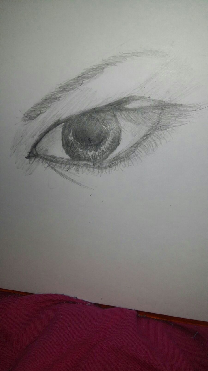 art, Sara
