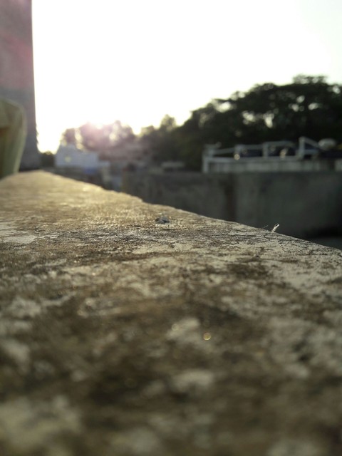 focus
