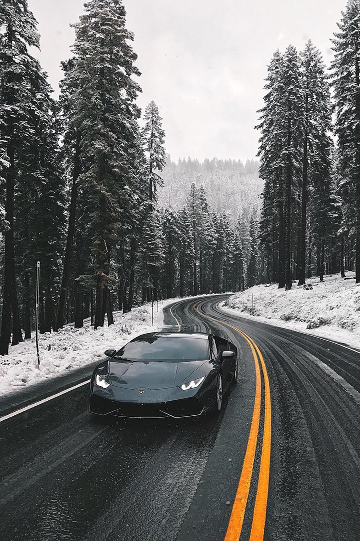 Lamborghini