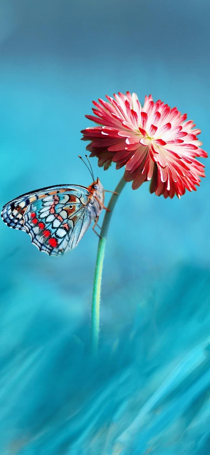 Amazing color blue