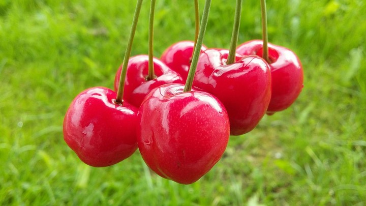 Cherries