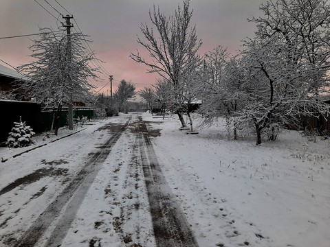 winter