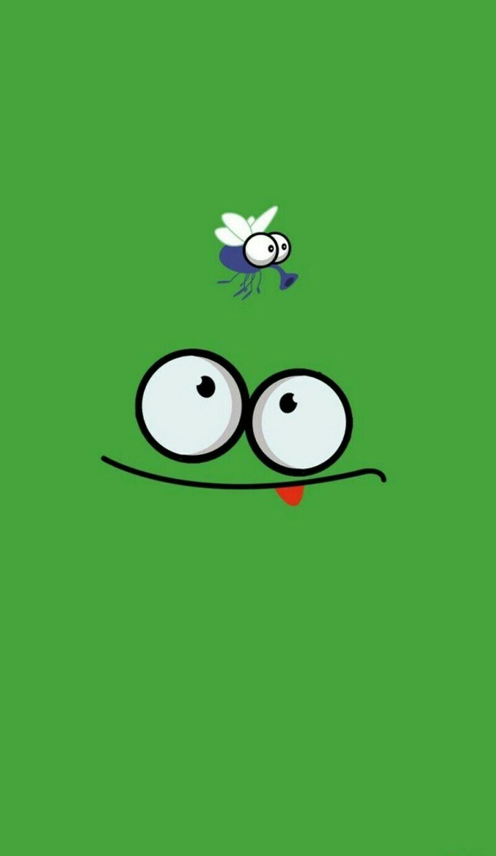 fly