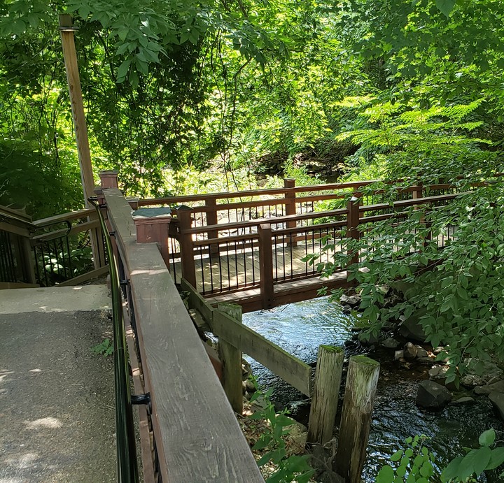 Summer Stroll