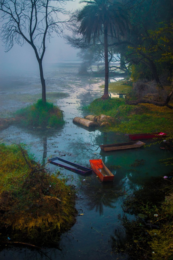 serenity