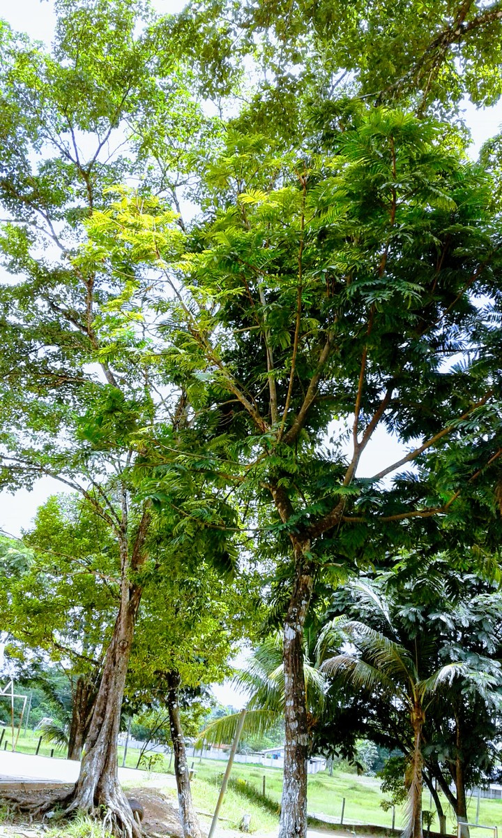 belleza de la naturaleza