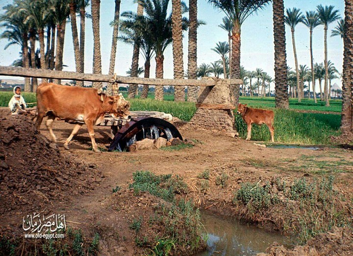 the countryside