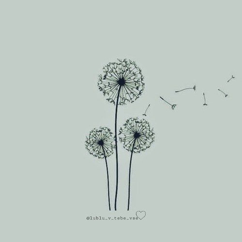 sfondi illustration, botany