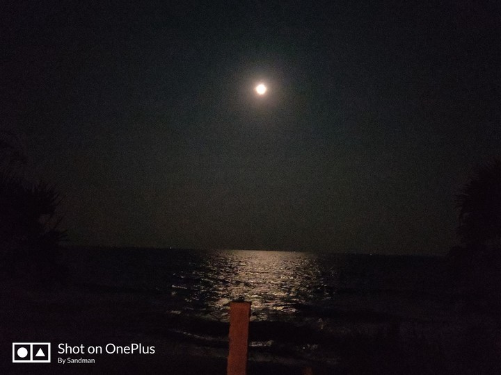 Moonlight