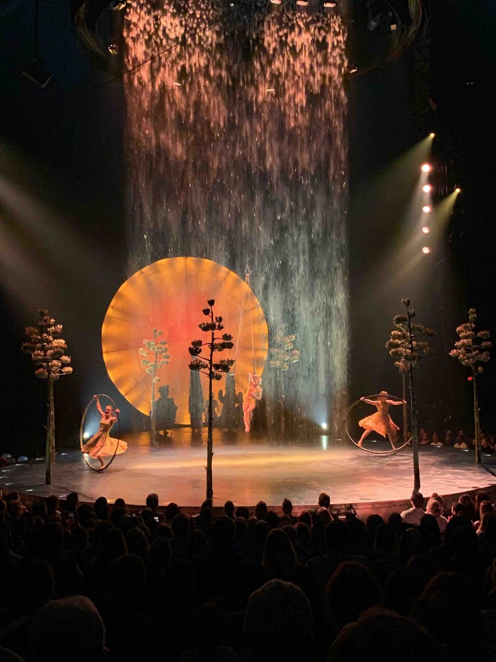 Circus Troop