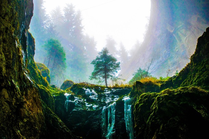 #Nature