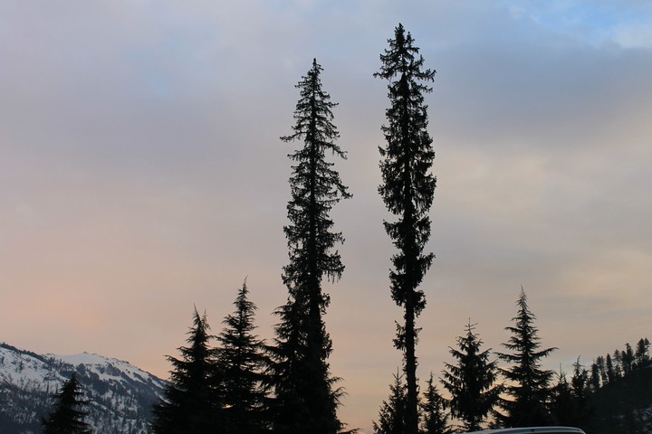 manali