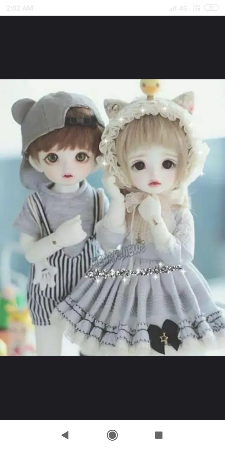 DOLLs