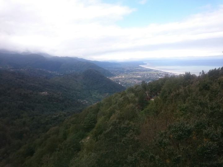 Nature