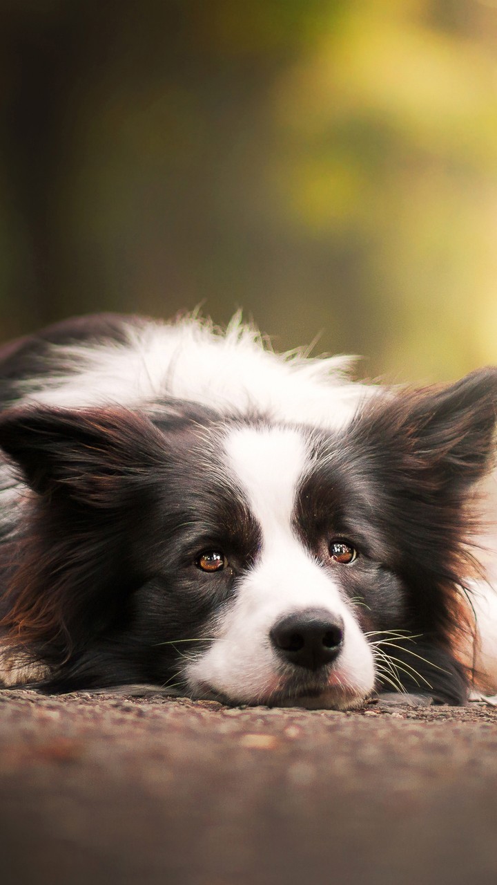 Cute