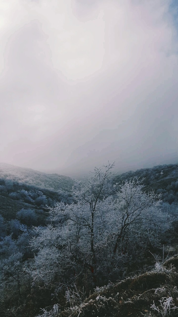 Winter is Coming