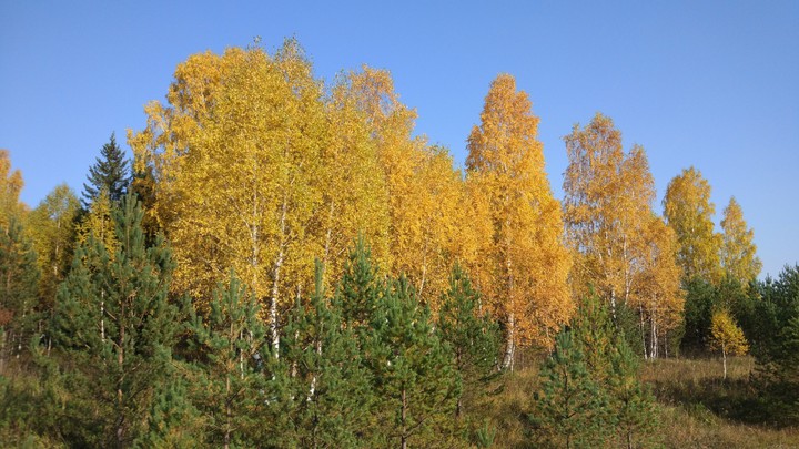 autumn colors