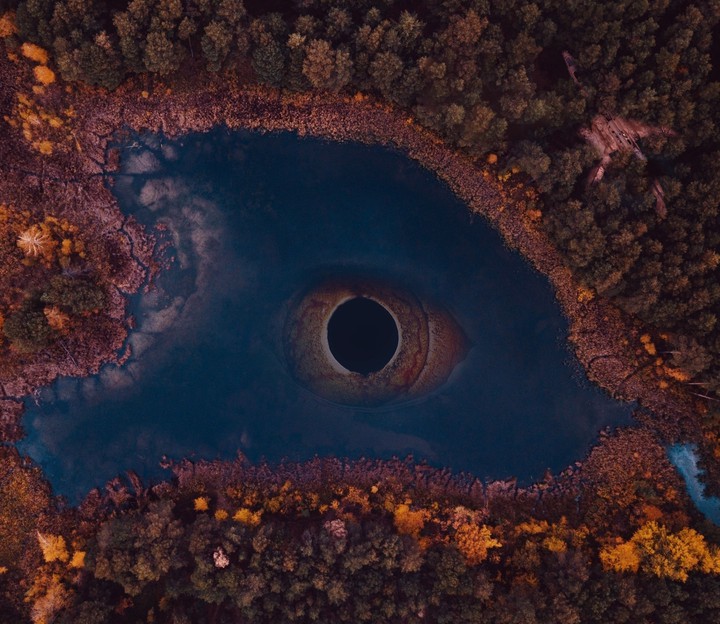Eye