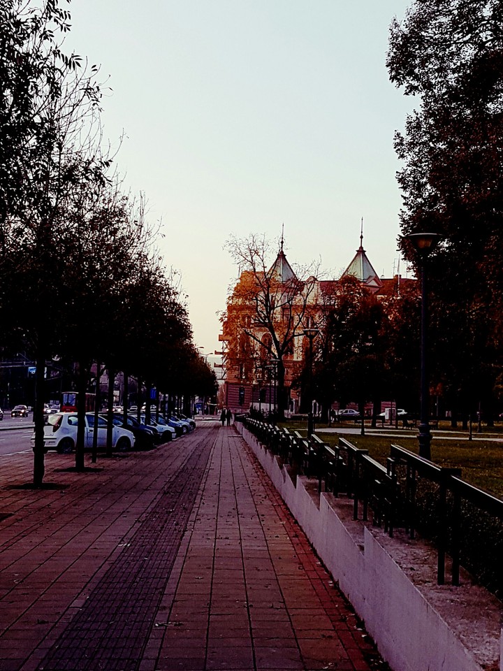 saturday, calm day