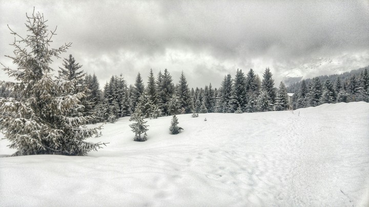 montagna