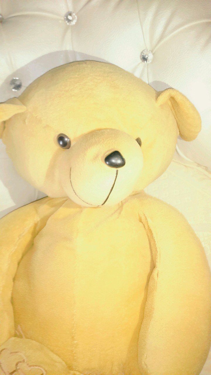 teddy