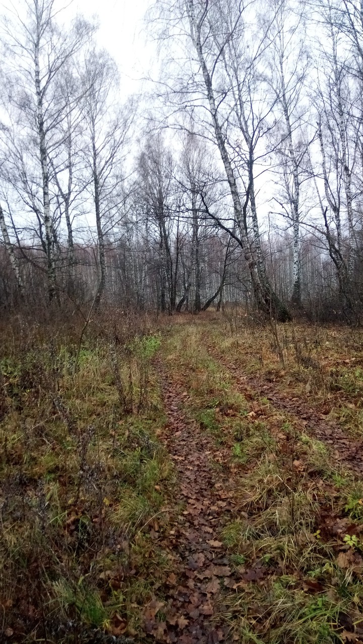 осень